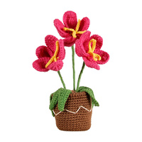 DMC Amigurumi Kit - Flower Pot