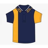 St Finbarr's Polo